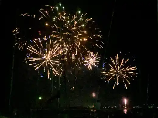 花火・夜景を水上から